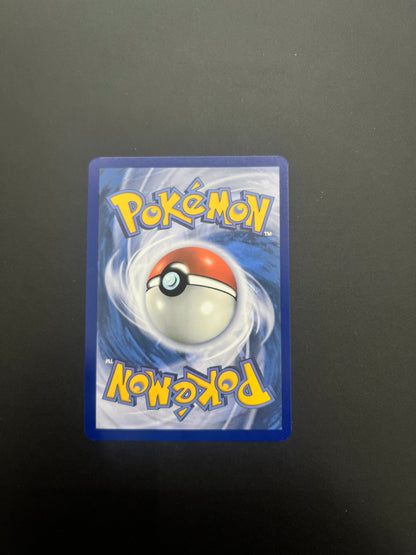 Pokemon Kecleon SSP Vista Retro - Raf Sneakers Trieste